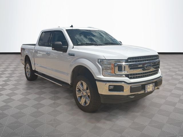 Used 2019 White Ford XLT image 1