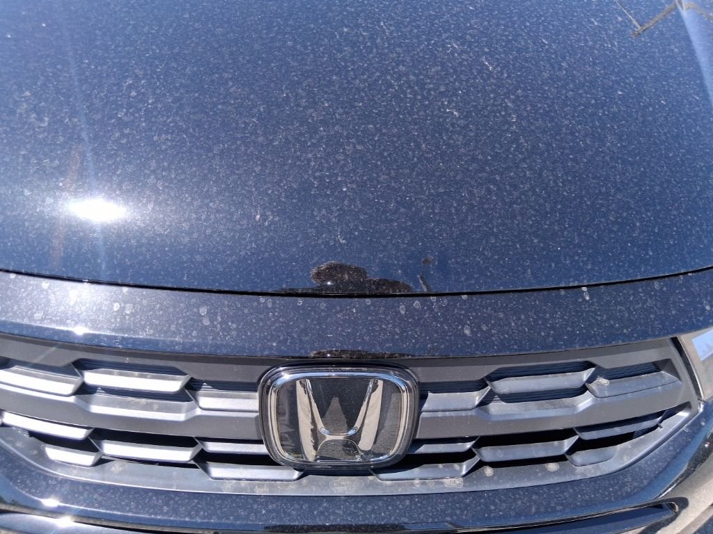 Used 2025 Black Honda EX-L image 15