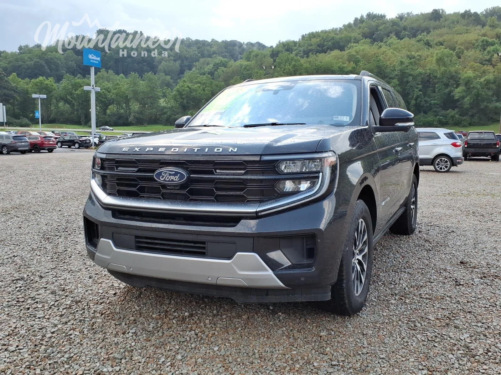 Used 2025 Dark Matter Gray Ford Platinum image 3