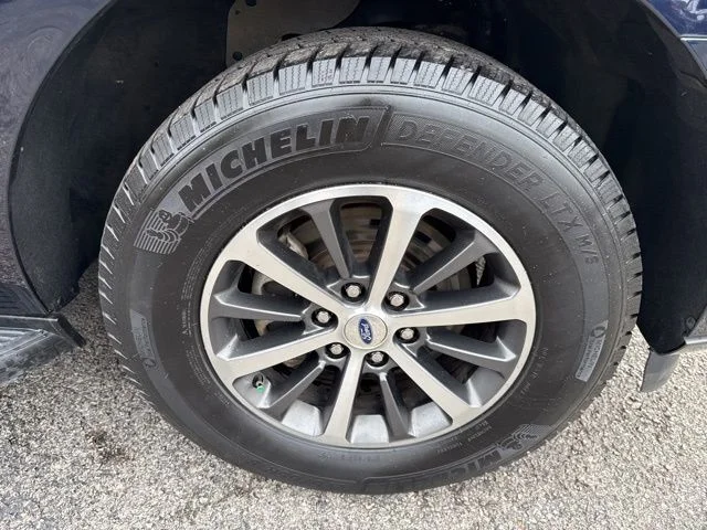 Used 2021 Blue Ford XLT image 12