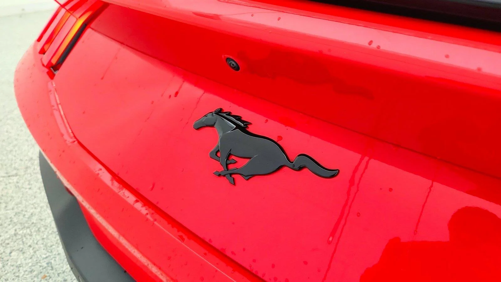 Used 2025 Race Red Ford EcoBoost image 40