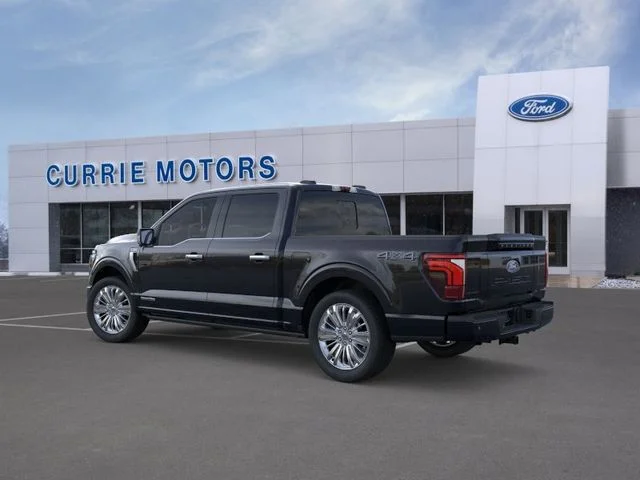 New 2026 Agate Black Metallic Ford Platinum image 4