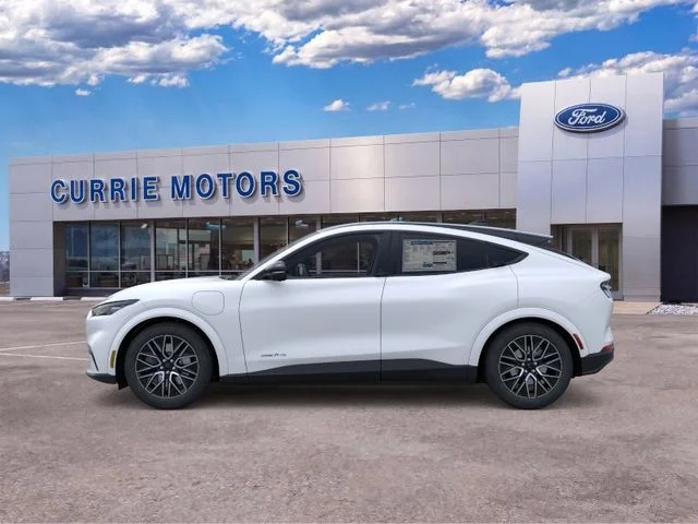 New 2026 Star White Metallic Tri-coat Ford Premium image 3