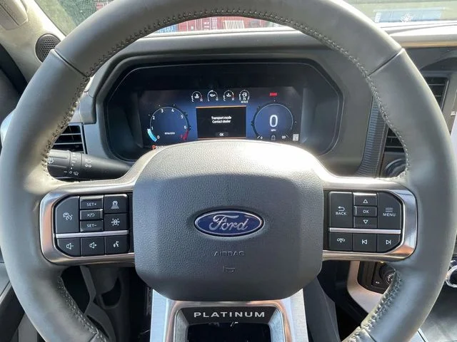 New 2026 White Ford Platinum image 19