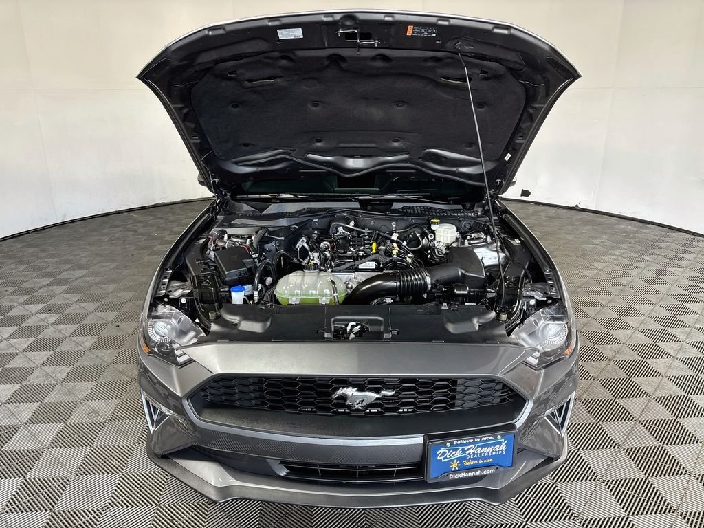 Used 2023 Gray Ford EcoBoost image 19