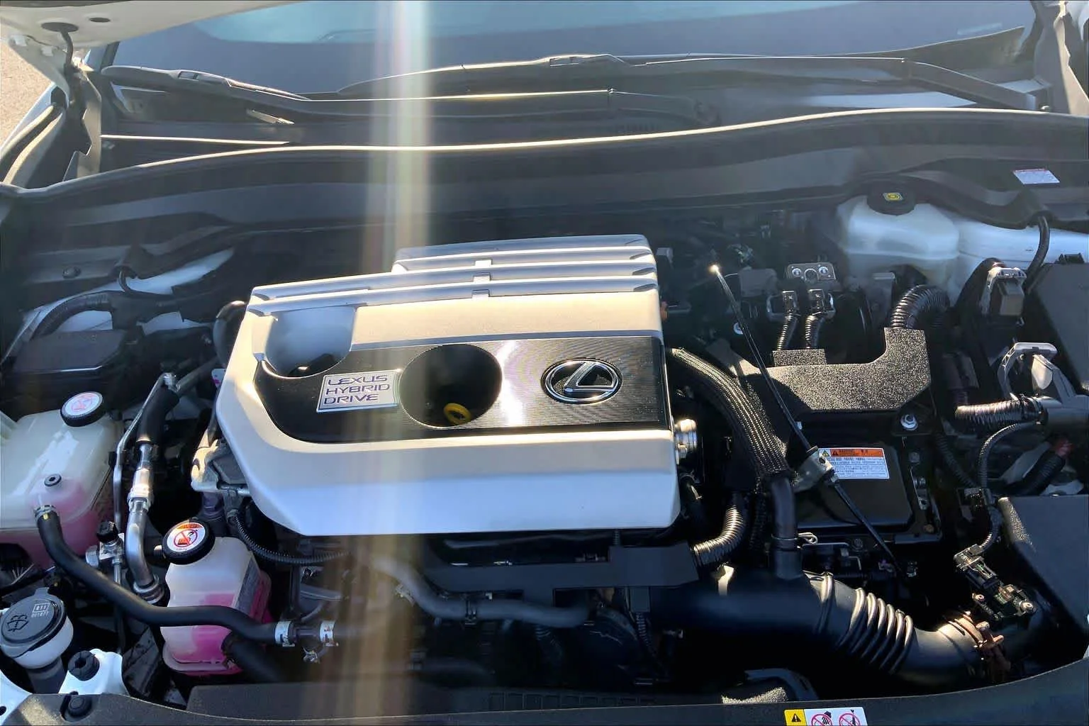 Used 2019 Ultra White Lexus F SPORT image 32