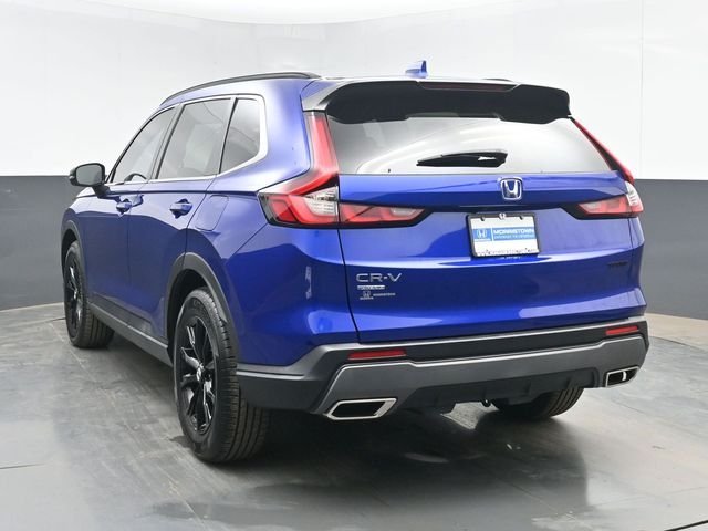 Used 2023 Blue Honda Sport image 6