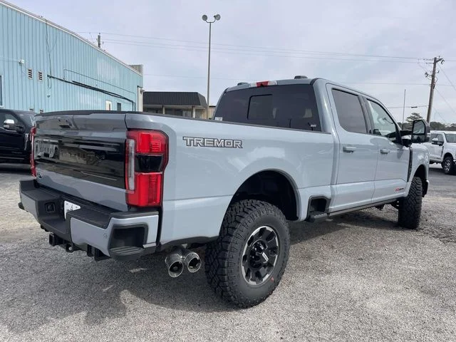 New 2026 Gray Ford Platinum image 3