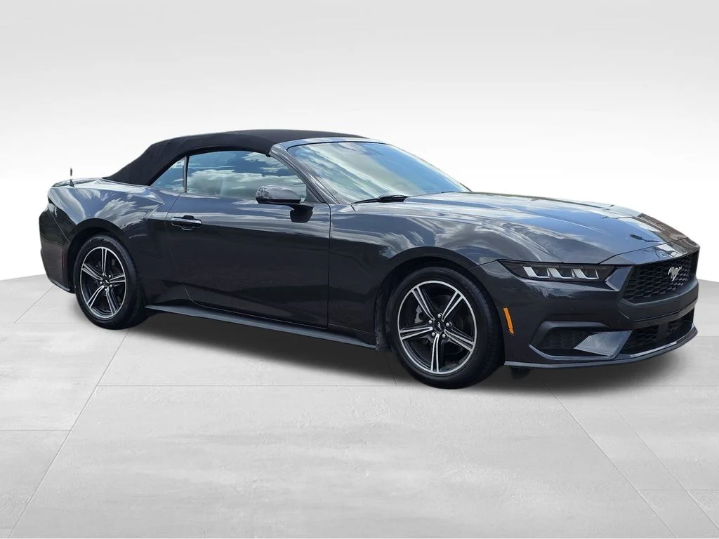 Used 2024 Gray Ford EcoBoost Premium image 4