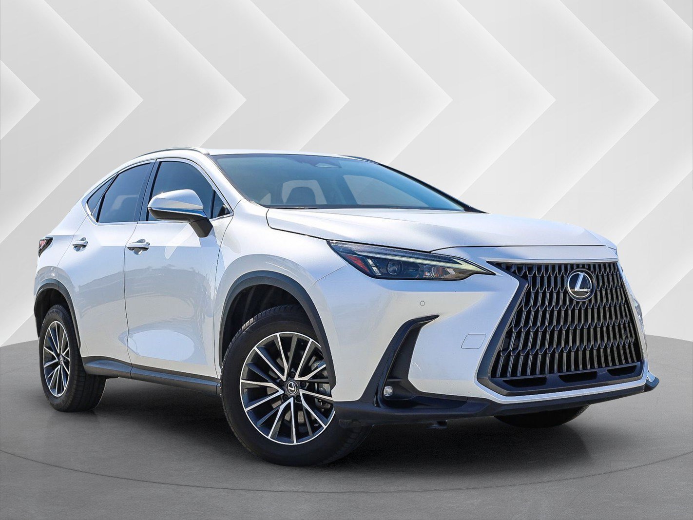 2024 Lexus NX
