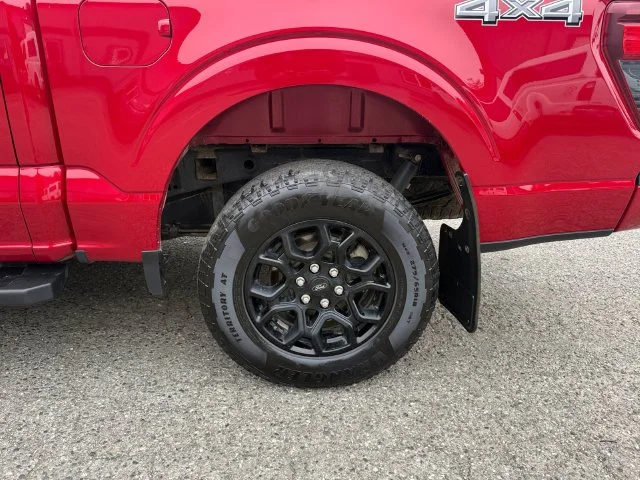 Used 2024 Red Ford XLT image 22