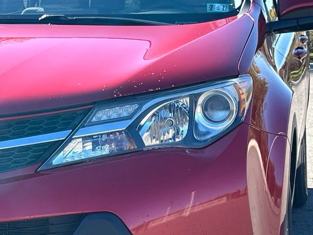 Used 2015 Red Toyota XLE image 7