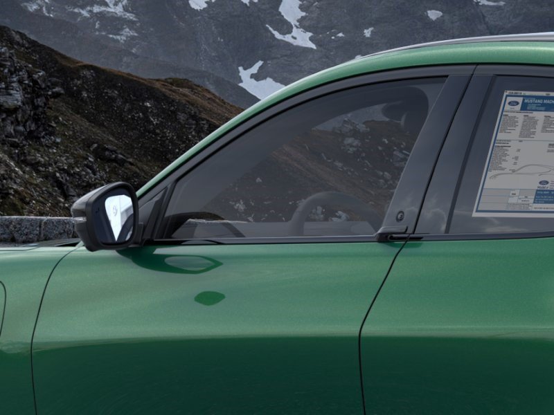 New 2026 Eruption Green Metallic Ford Premium image 20