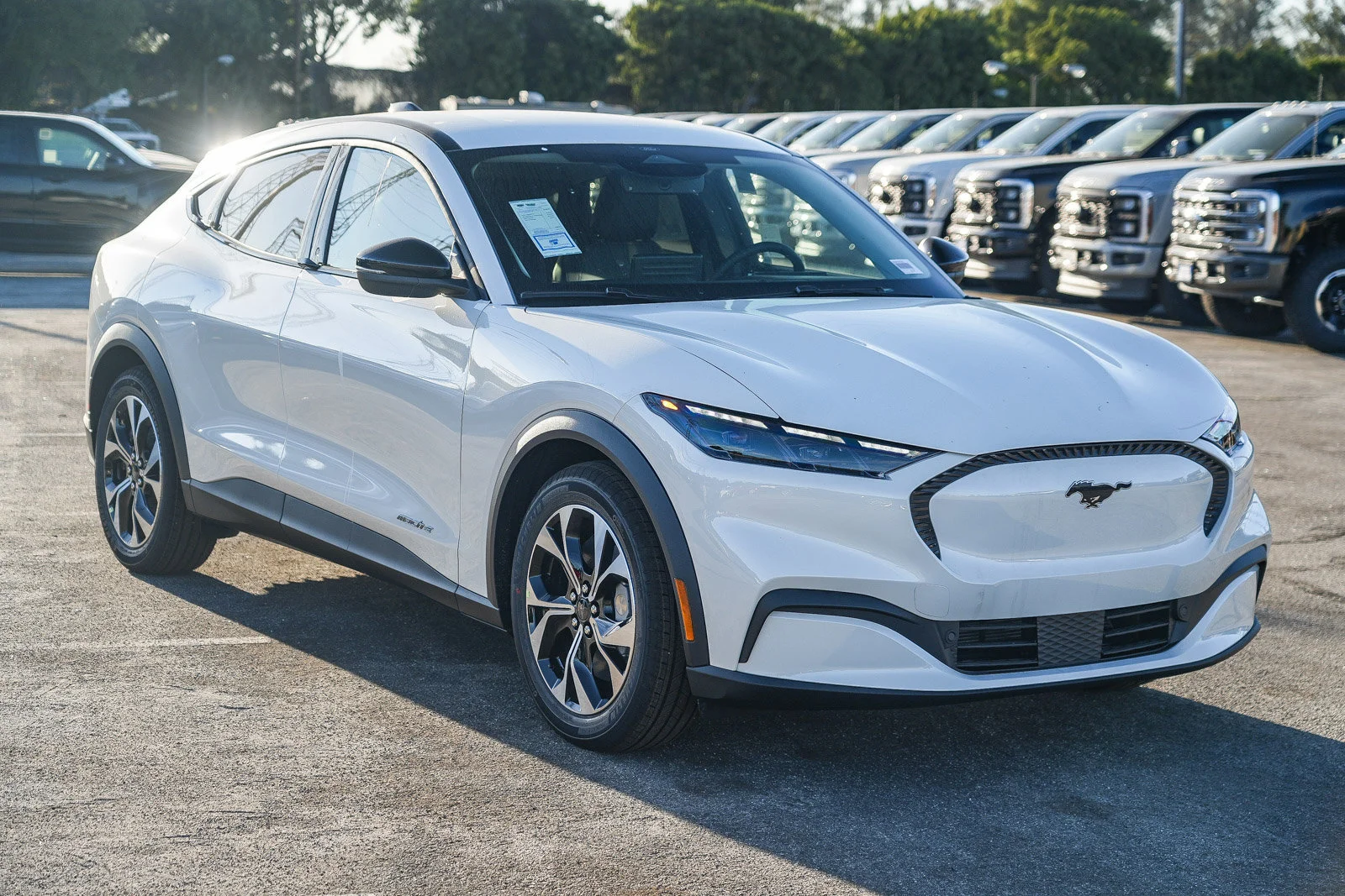 New 2026 Star White Metallic Tri-coat Ford Select image 5