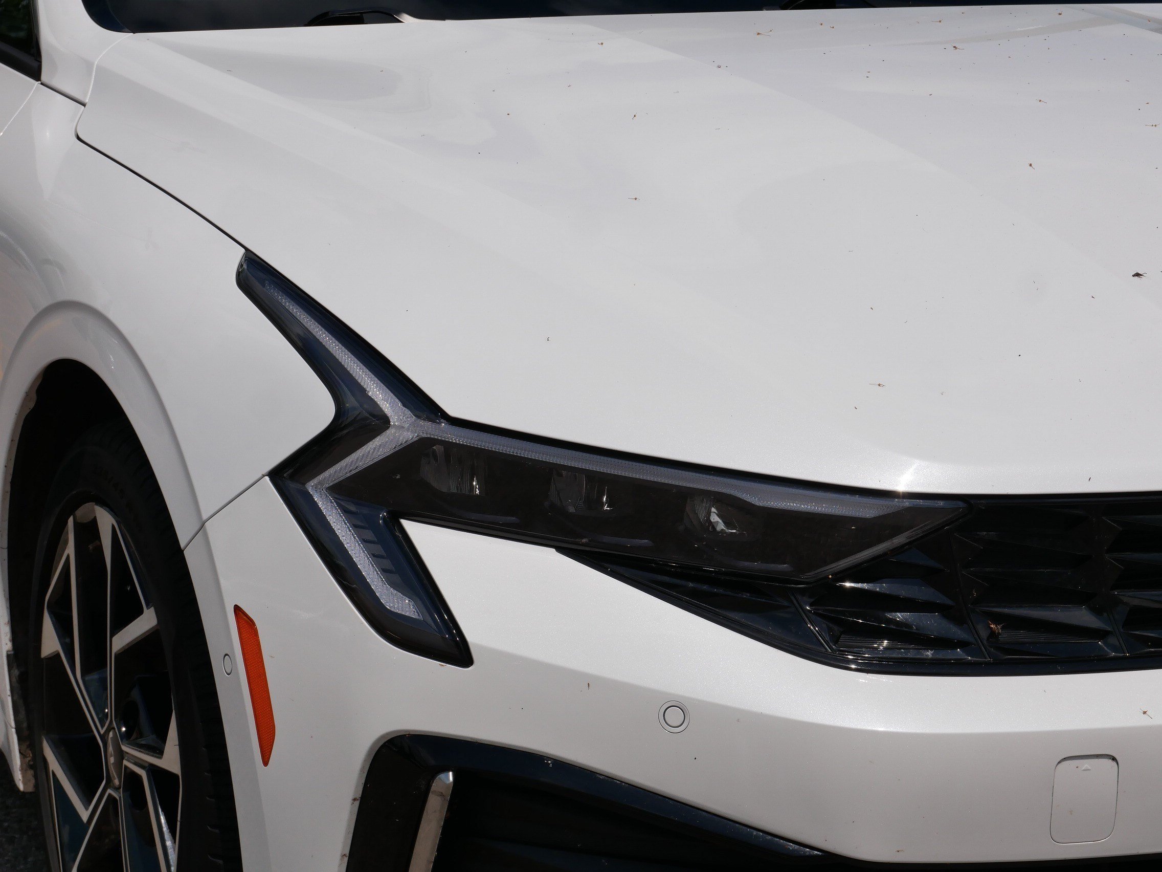 Used 2025 Snow White Pearl Kia EX image 16