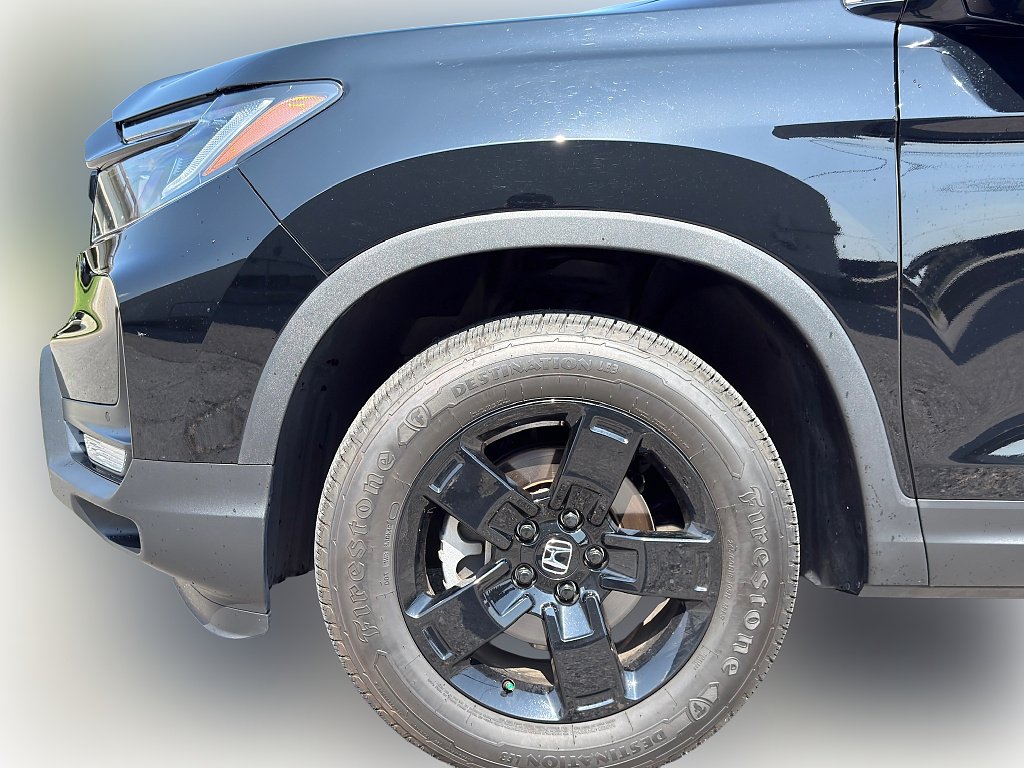 Used 2025 Crystal Black Pearl Honda Black Edition image 4