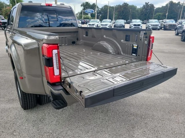 New 2026 Gray Ford Platinum image 11