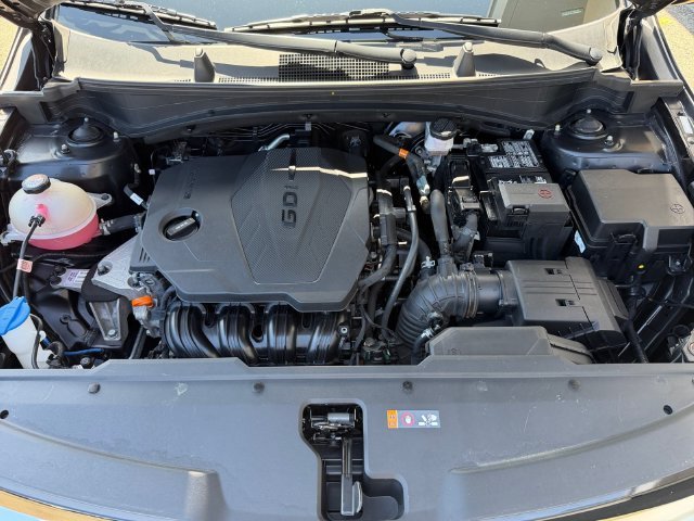 Used 2023 Black Kia SX-Prestige image 6