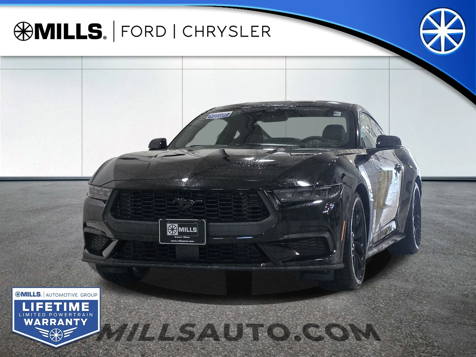 New 2025 Shadow Black Ford EcoBoost® Premium Fastback image 1