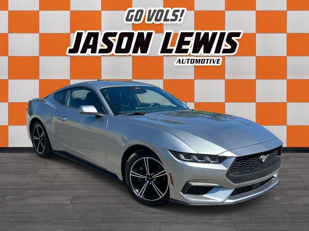 Used 2024 Iconic Silver Met Ford EcoBoost image 2
