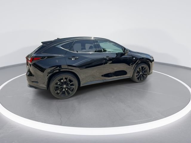 2024 Lexus NX 350 - Photo 8
