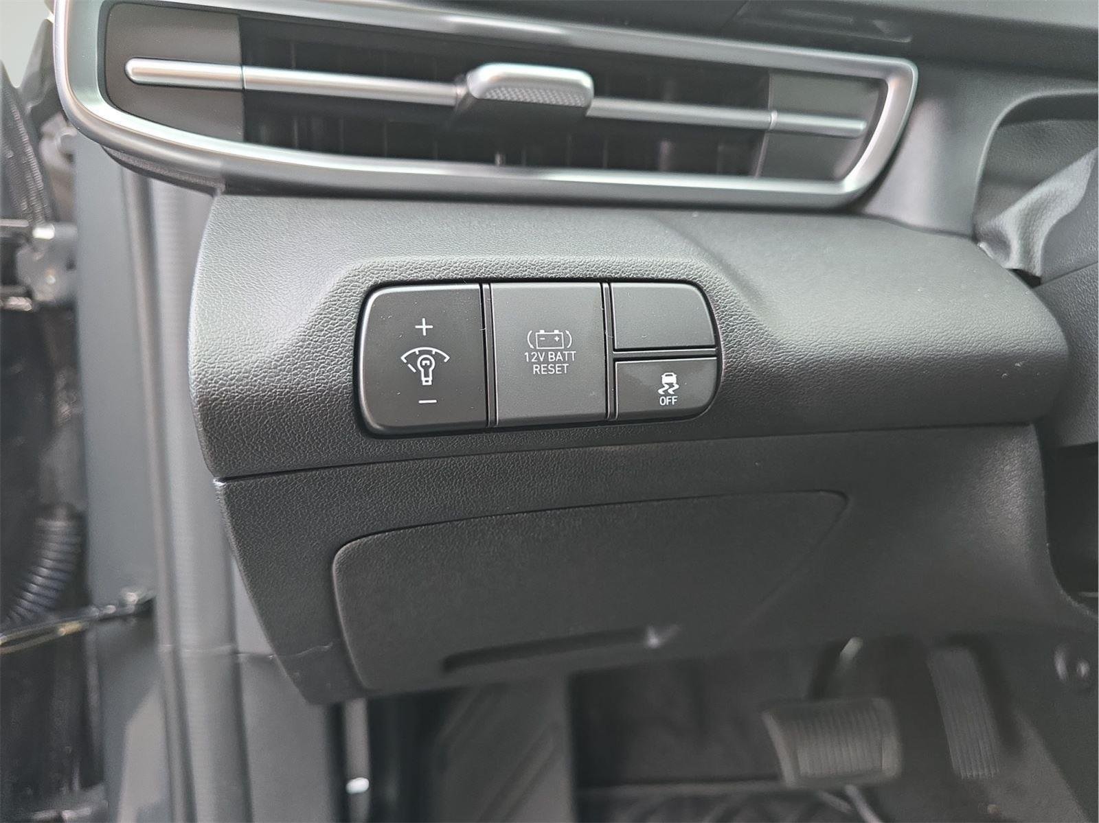 Used 2025 Ecotronic Gray Hyundai Blue image 21