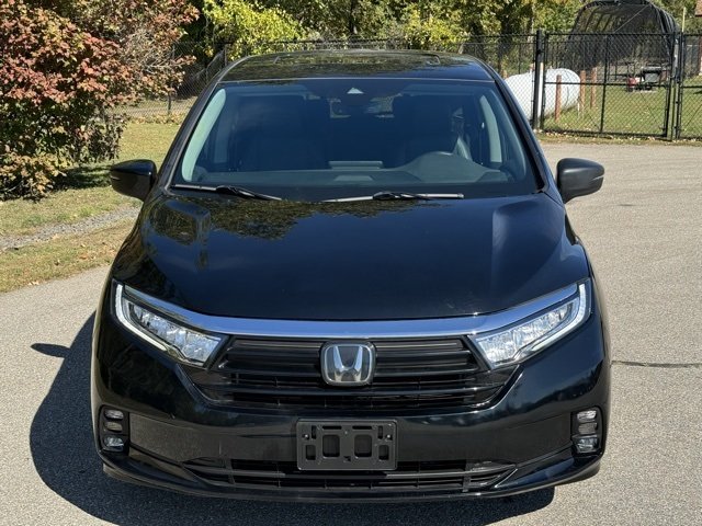 2023 Honda Odyssey EX-L photo 2