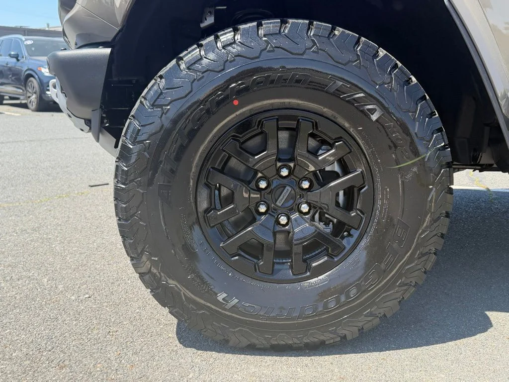 New 2026 Gray Ford Raptor image 11