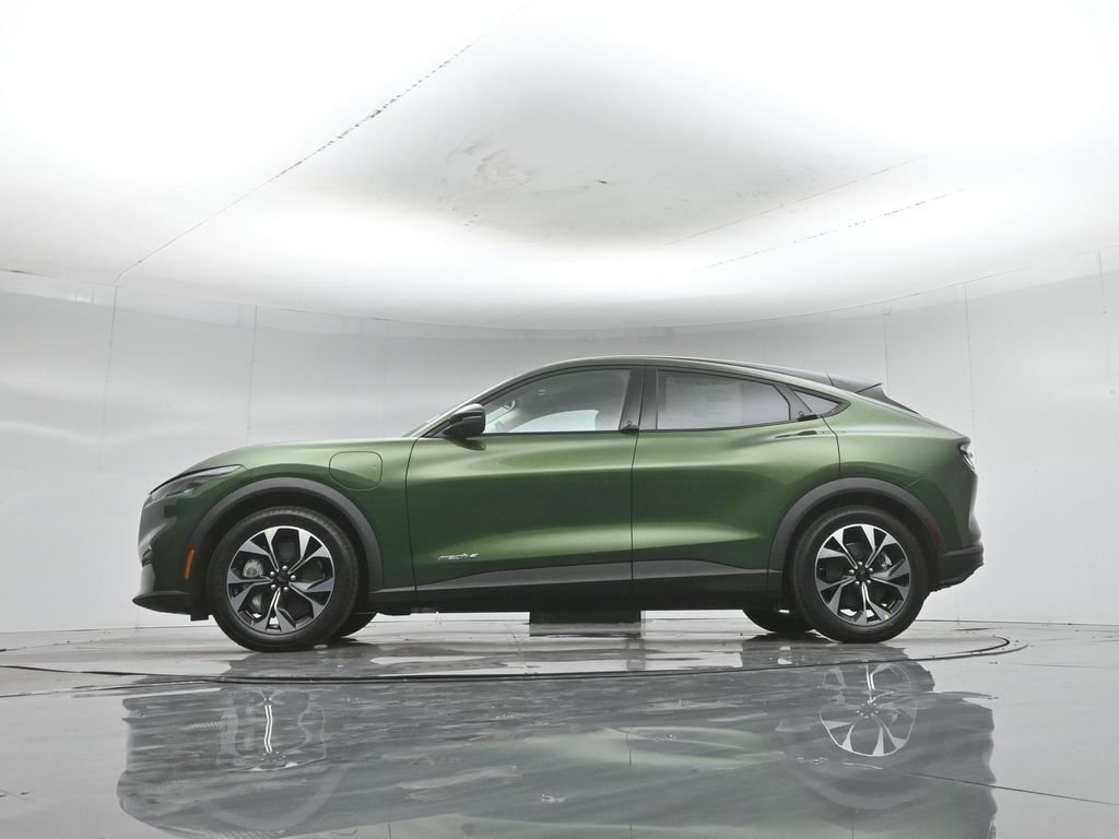 New 2026 Eruption Green Metallic Ford Select image 7