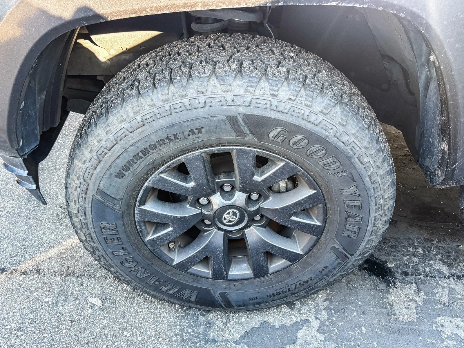 Certified Used 2023 Lunar Toyota TRD Off Road image 8