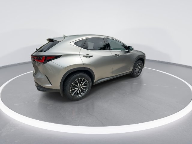 2025 Lexus NX 250 - Photo 8
