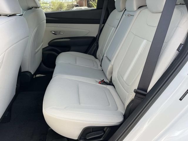 New 2026 White Hyundai SEL image 19