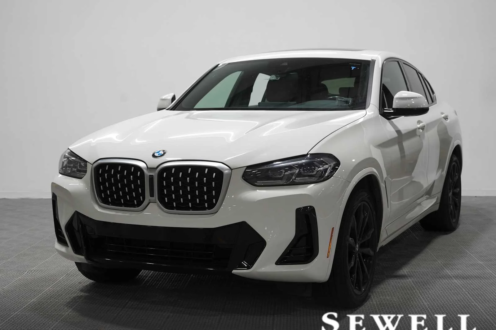 2023 BMW X4 xDrive30i's photo