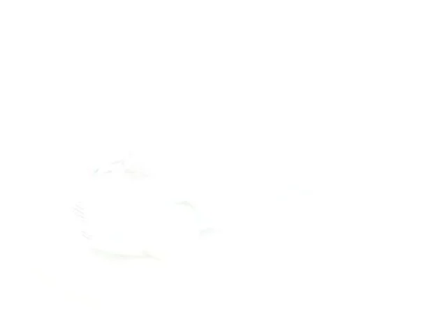 Used 2024 White Hyundai Calligraphy image 28