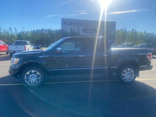 Used 2010 Ford F-150 Platinum with VIN 1FTFW1EV7AFD79841 for sale in Pine River, Minnesota