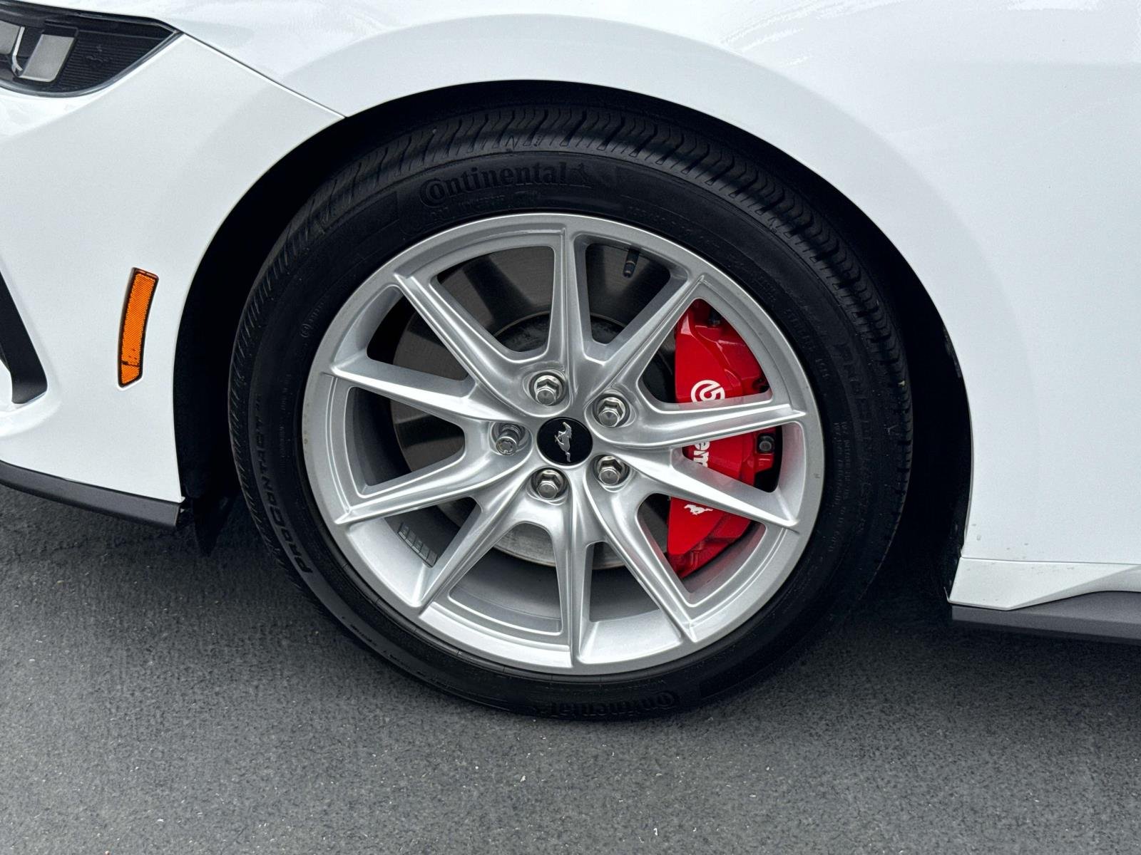 Used 2025 White Ford GT Premium image 30