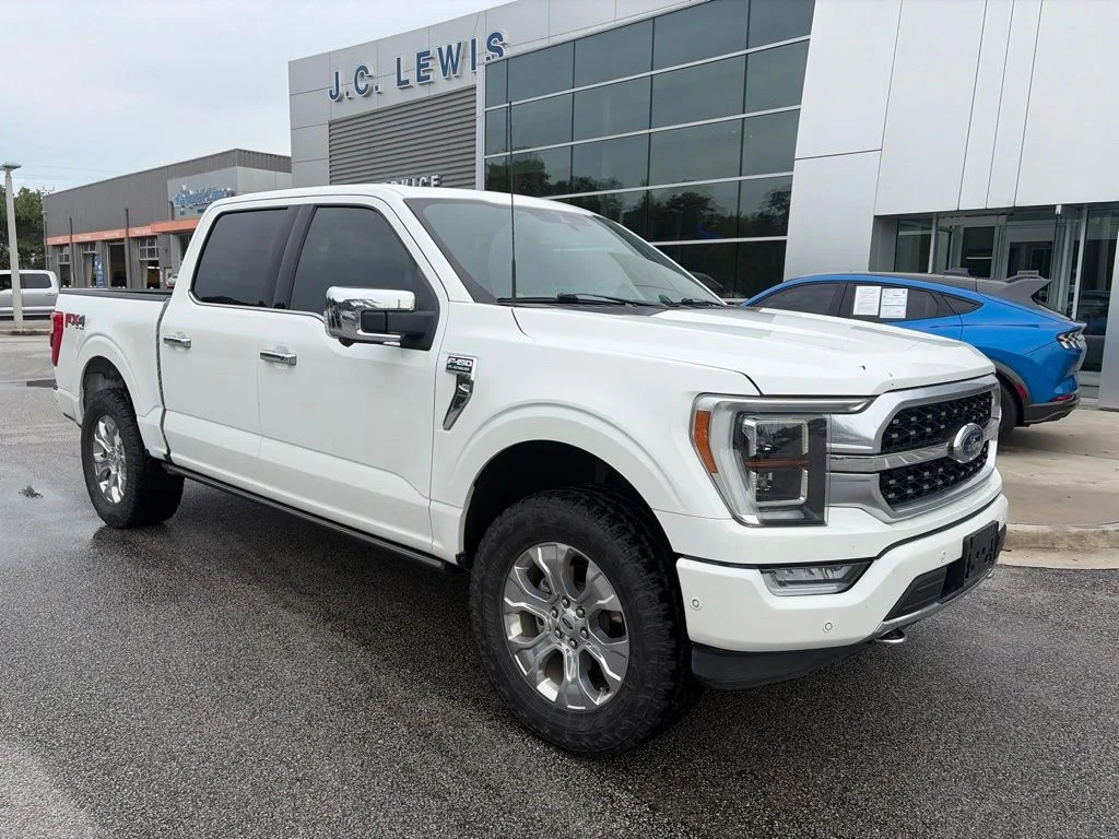 Used 2022 White Ford Platinum image 1