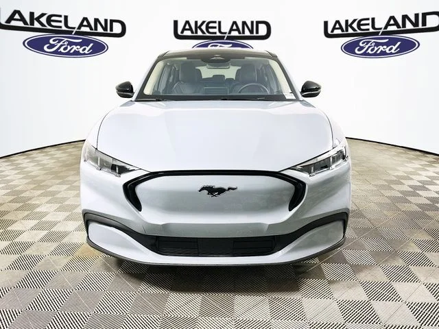 New 2026 Gray Ford Premium image 8