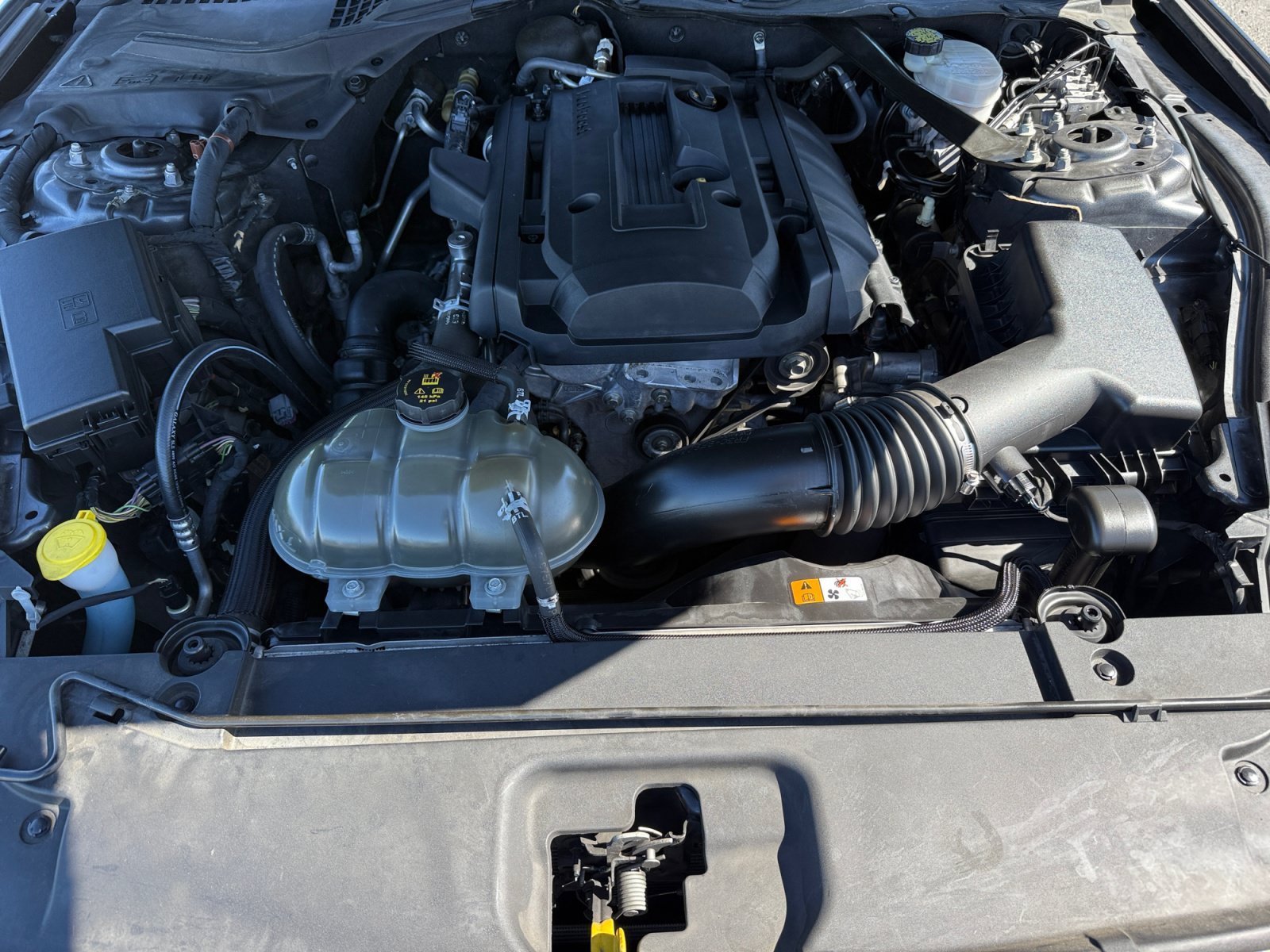 Used 2016 Magnetic Ford EcoBoost Premium image 20