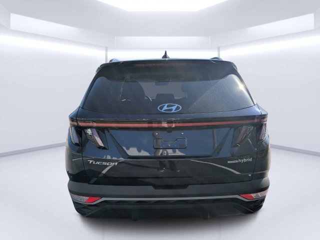 Used 2024 Blue Hyundai SEL Convenience image 4