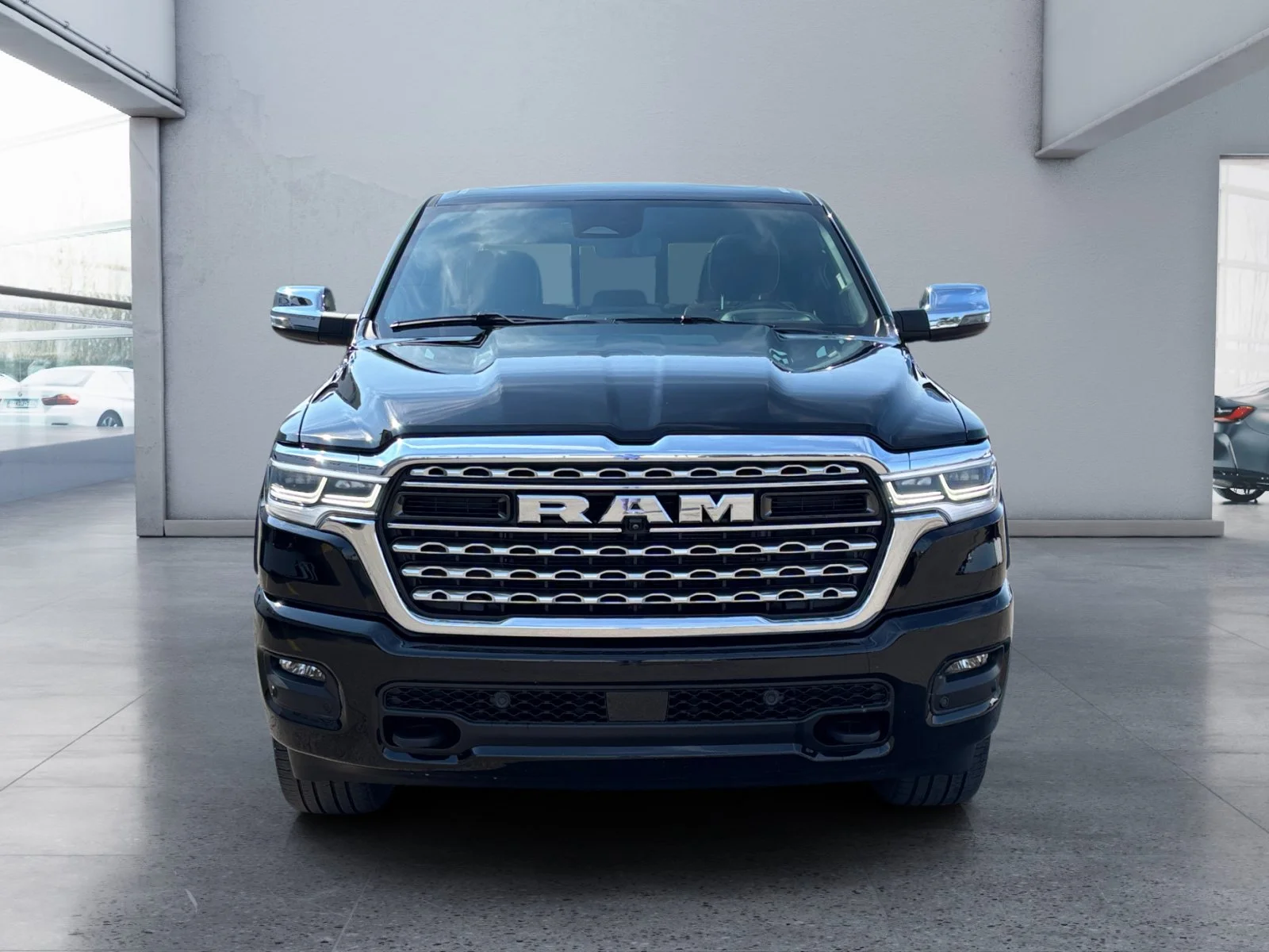 Used 2025 Black Ram Limited image 8