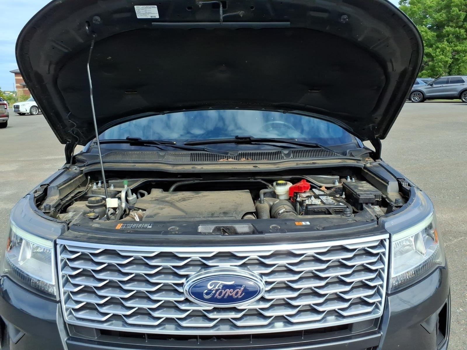 Used 2018 Magnetic Metallic Ford Platinum image 31