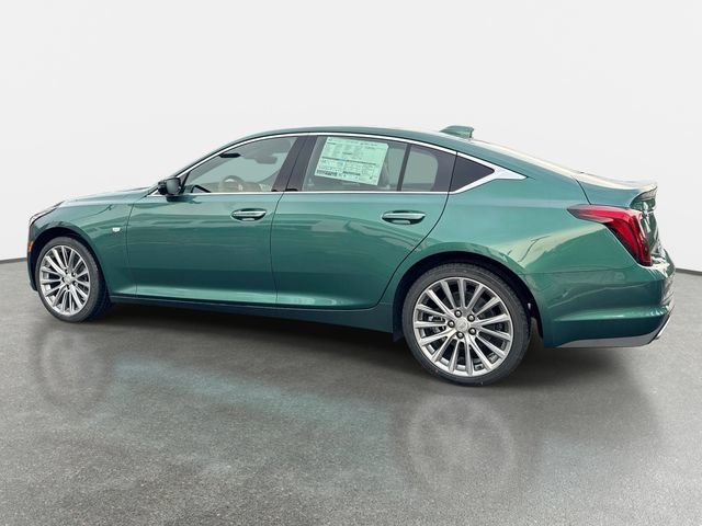 New 2026 Typhoon Metallic Cadillac Premium Luxury image 3