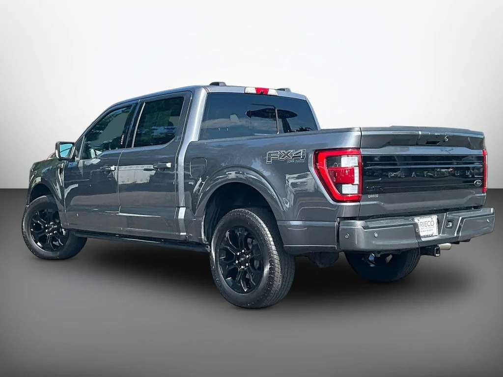 Used 2022 Gray Metallic Ford Platinum image 5