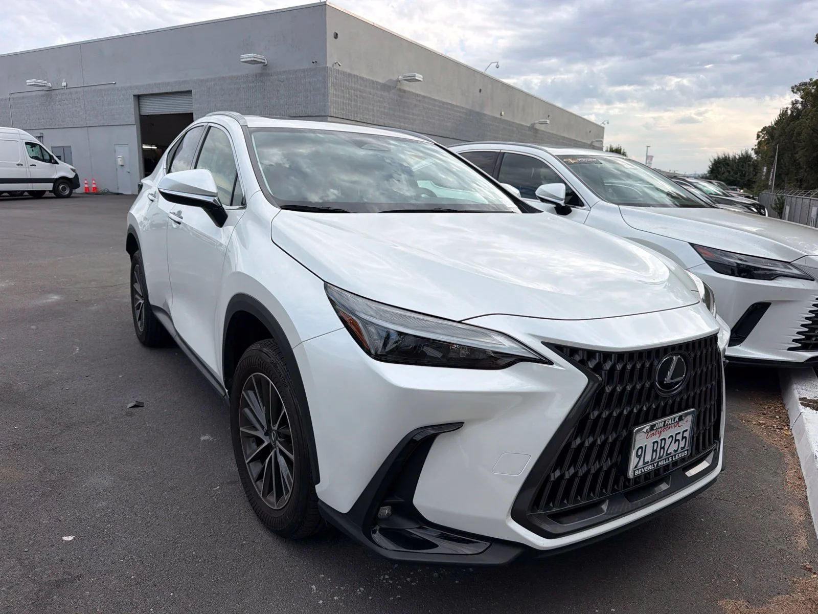 2024 Lexus NX
