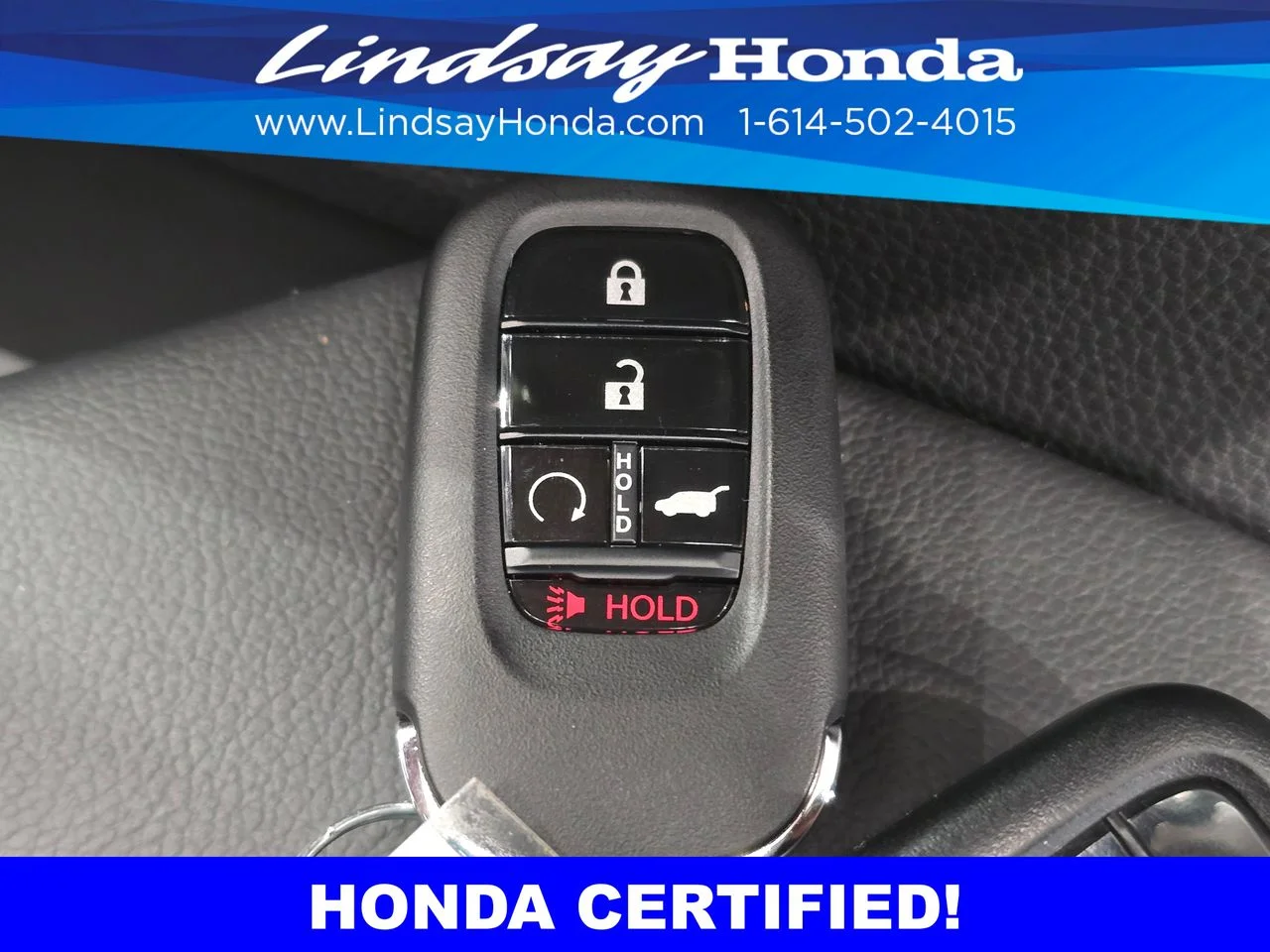 Certified Used 2025 Canyon River Blue Metallic Honda Sport-L image 23