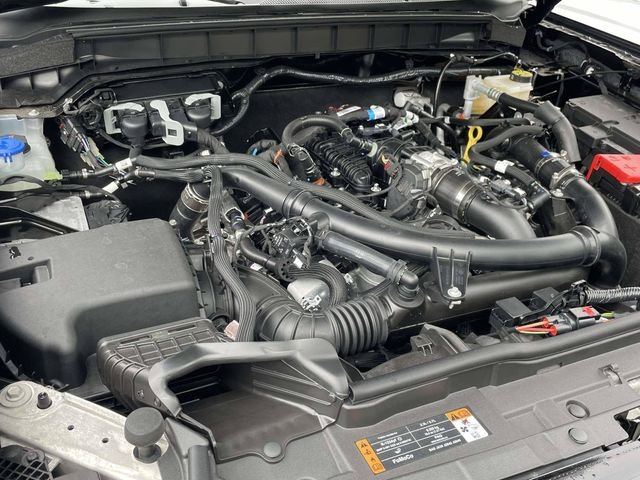 New 2026 Shadow Black Ford TCcustoms image 22