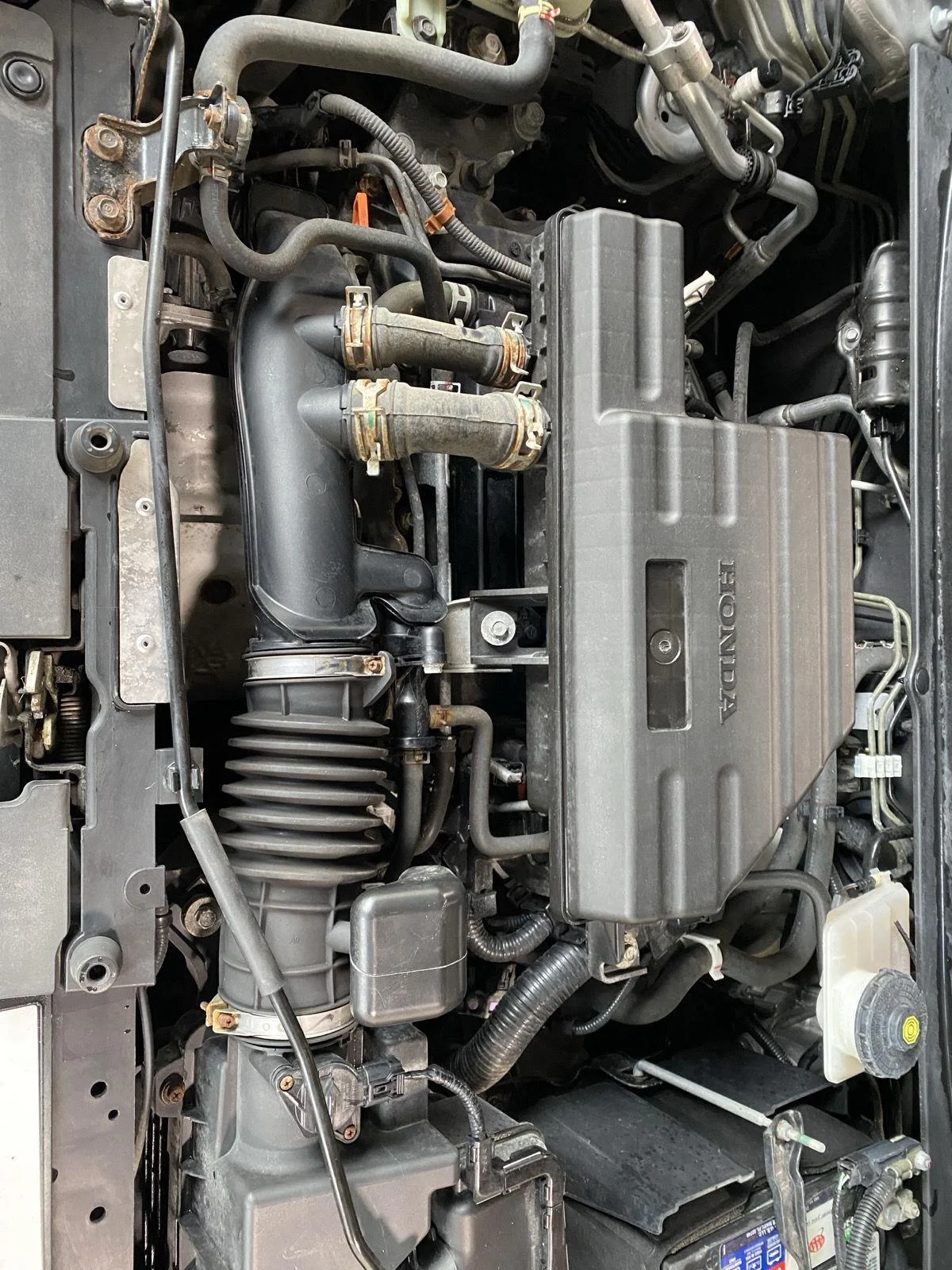 Used 2019 Lunar Silver Metallic Honda EX-L image 9