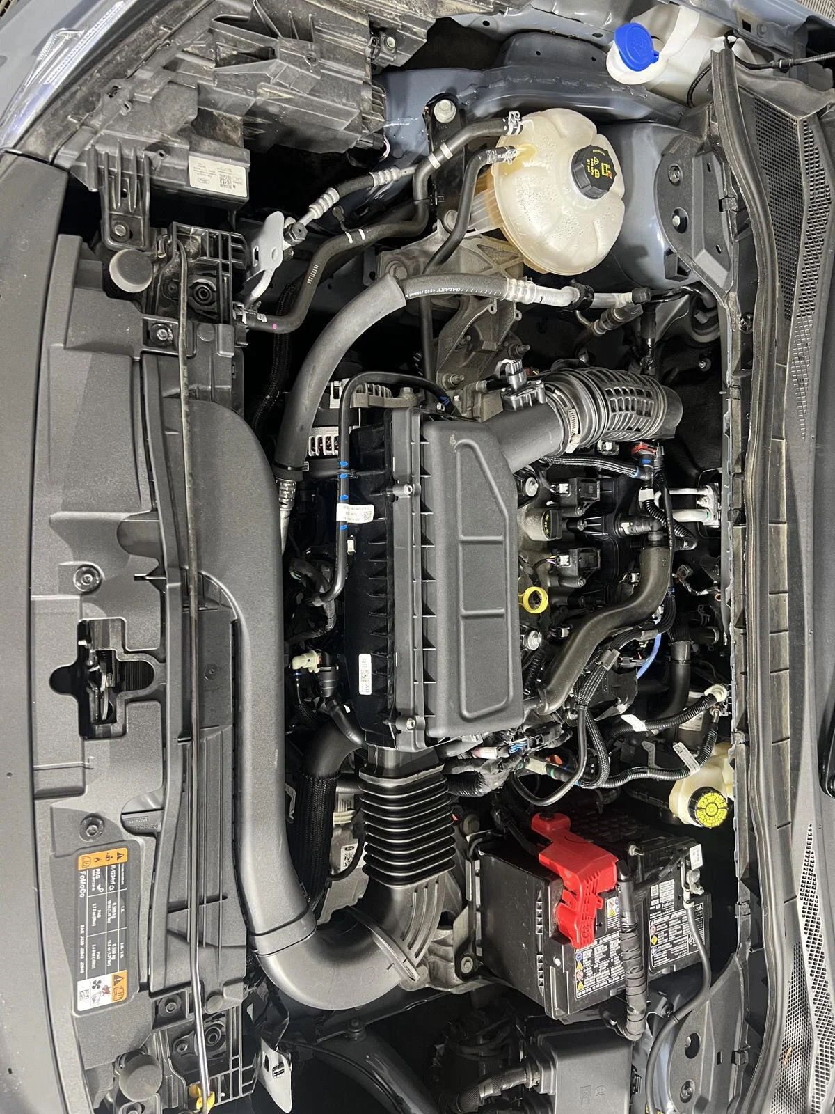 Used 2025 Vapor Blue Ford  image 29