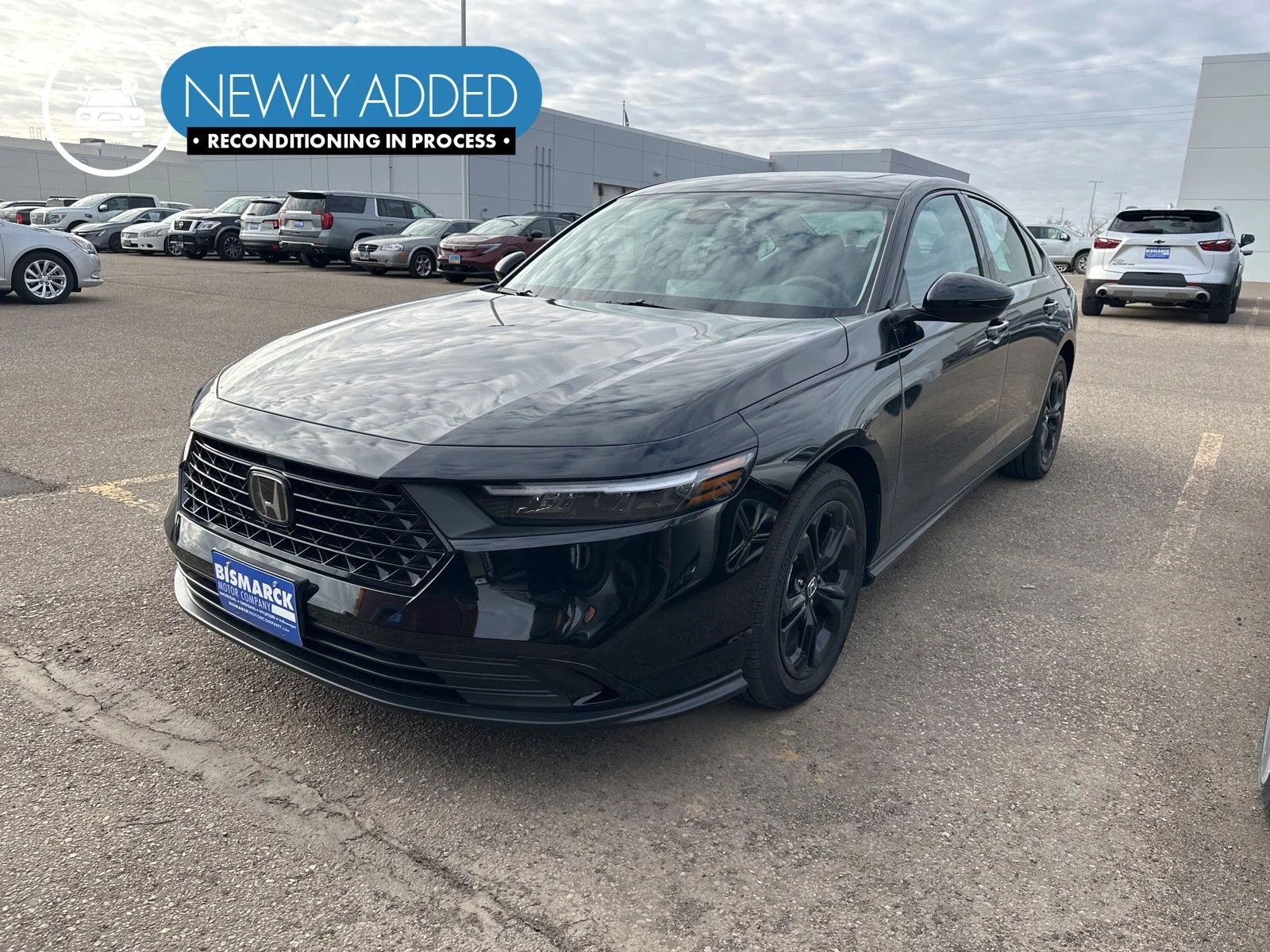 2025 Honda Accord 1.5T SE CVT's photo